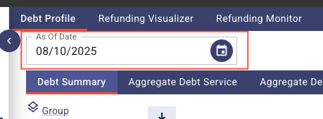 As of date borrower level